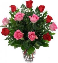 Blissful Blooms Blissful Blooms