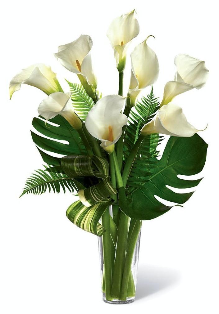 Calla Lily in a vase product1451