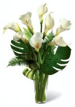Calla Lily in a vase Calla Lily in a vase