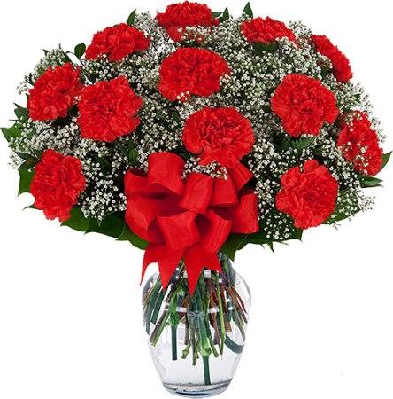 12 Red Carnations Vase product93